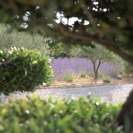 Rians  Villa Otilia-Bed And Breakfast-Chambres D'Hotes En Provence מראה חיצוני תמונה