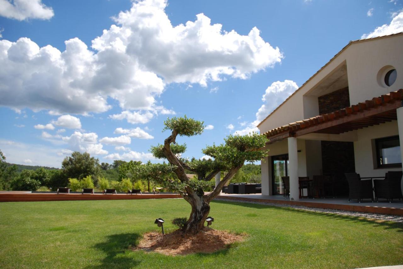 Rians  Villa Otilia-Bed And Breakfast-Chambres D'Hotes En Provence מראה חיצוני תמונה