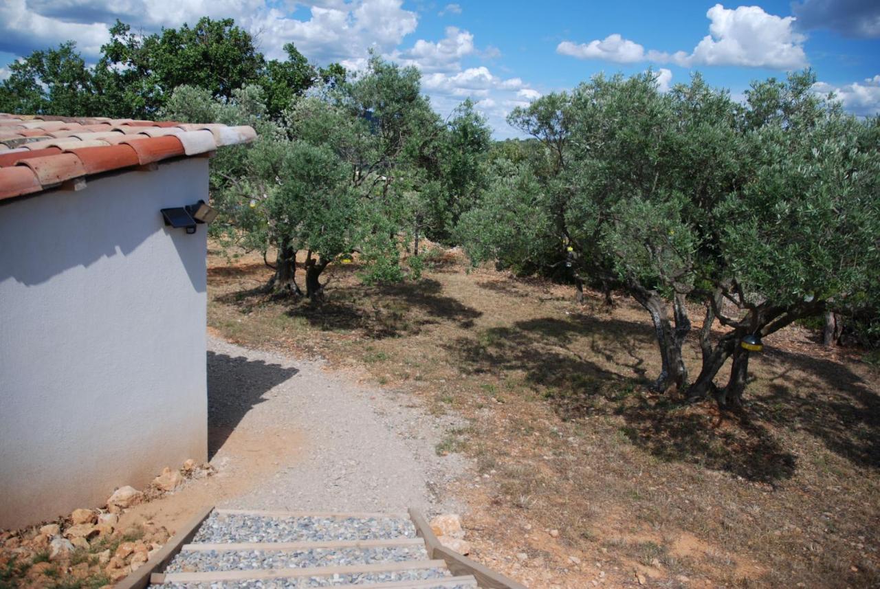 Rians  Villa Otilia-Bed And Breakfast-Chambres D'Hotes En Provence מראה חיצוני תמונה