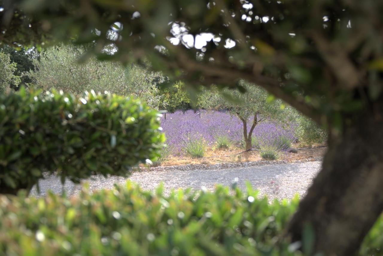 Rians  Villa Otilia-Bed And Breakfast-Chambres D'Hotes En Provence מראה חיצוני תמונה